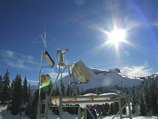 Swamp Angel Mast